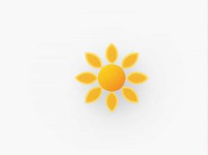 Quantity Of Pollen Produced In The Anther