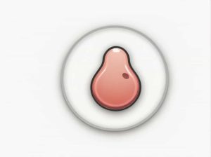 The Amoeba Food Is Digested In The