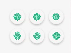 Pg Diploma In Naturopathy And Yogic Science