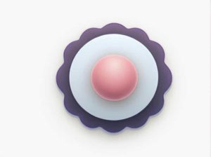 The Largest Organelle In The Cell