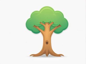 This Hermaphroditic Tree Is Rare In The Wild