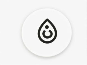 Use The Word Homonym In A Sentence