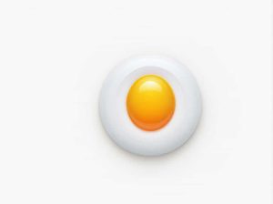 What Are Amnion Chorion Yolk Sac And Allantois