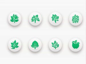 National Institute For Agronomic Research