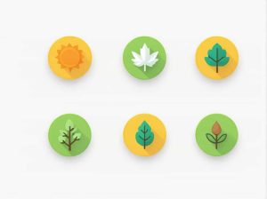 Nature The Best Teacher Expand The Theme