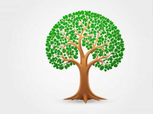 Pseudo Palindromic Paths In A Binary Tree