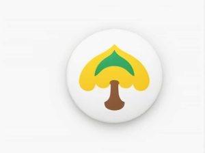 Quelle Est La Population Du Gabon