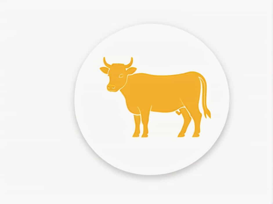 Question A Heifer Is A That Has Not Calved