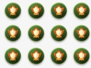 Rank Of Colonel In Indian Army