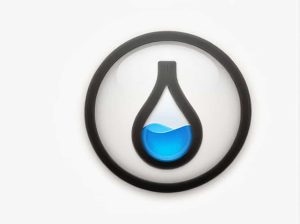 Reabsorbed Water And Solutes Enter Into The