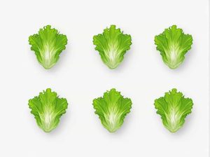 Should I Rewash Pre Washed Lettuce