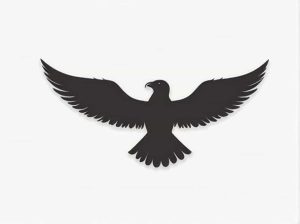 The Bird With The Largest Wingspan