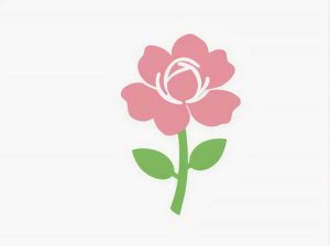 The China Rose Is All Abloom