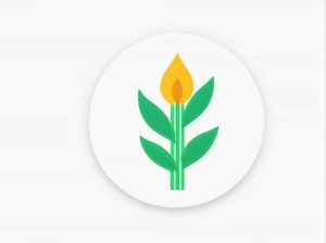 The Common Name For Aspidistra Elatior Is