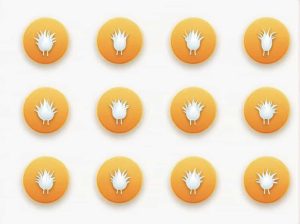 What Vegetables Are Used To Make Vichyssoise