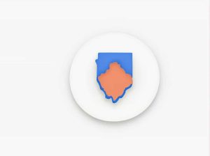 When Is The Next Illinois Gubernatorial Election Quizlet