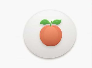 Which Of These Is Known As The Ripened Ovary