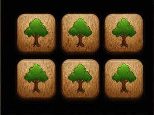 Woodlot For Sale Bc Under $50000