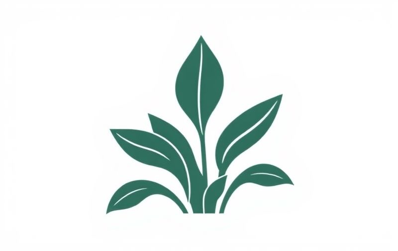 Plant Leaves Soft And Droopy