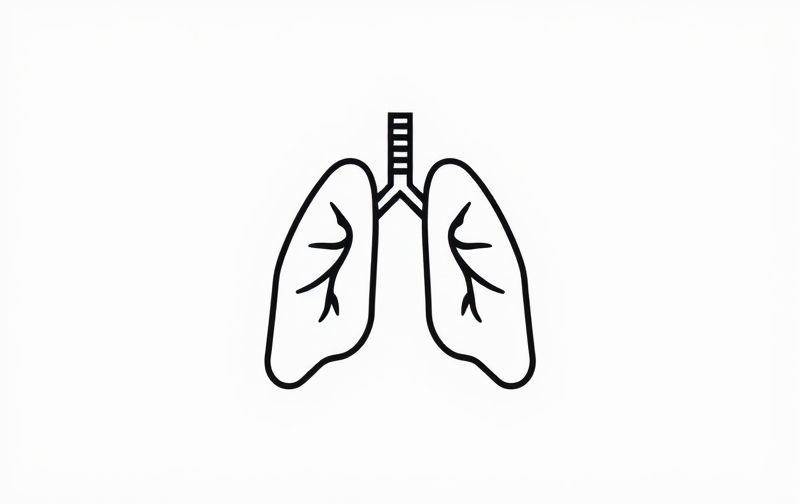 Select The Terms That Pertain To Breathing Processes