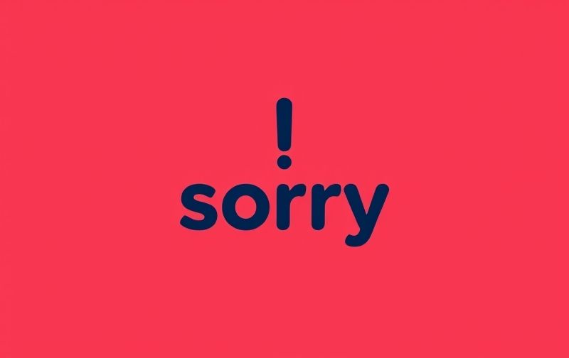 Sorry For The Hassle Meaning