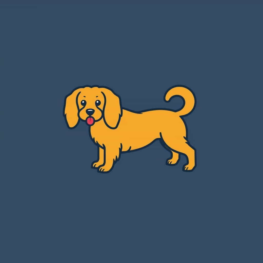 Golden Weenie Dog For Sale