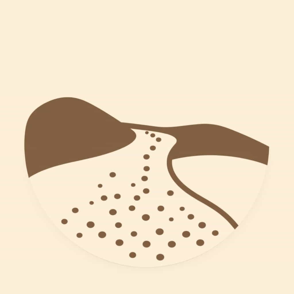 Gravel Driveway Contractors Near Me