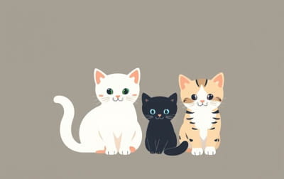 Kittens For Sale Near Me