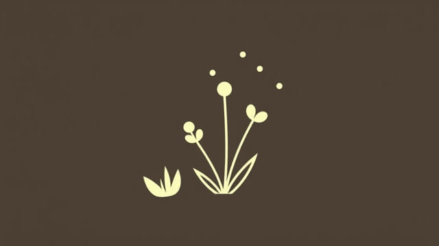 Xerophytic Adaptation To Reduce Transpiration