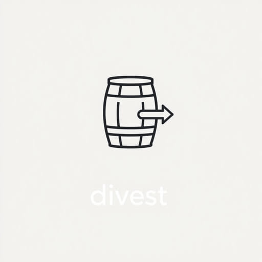 What Does 'Divest' Mean In Spanish
