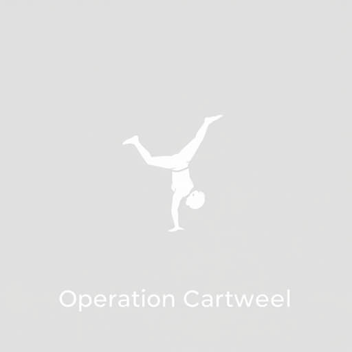 What Was Operation Cartwheel